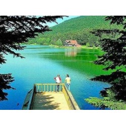 Sapanca Tour from Istanbul